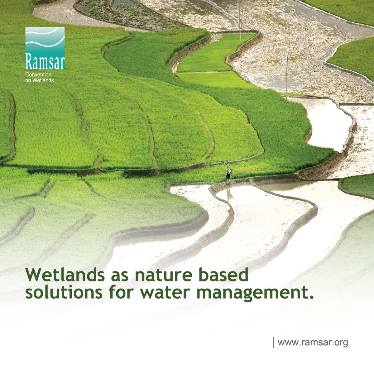 From filtering pollutants to recharging groundwater and reducing flood risks, wetlands are powerful nature-based solutions for sustainable water management. 

Protecting wetlands means protecting one of our most effective tools in addressing the global water crisis.