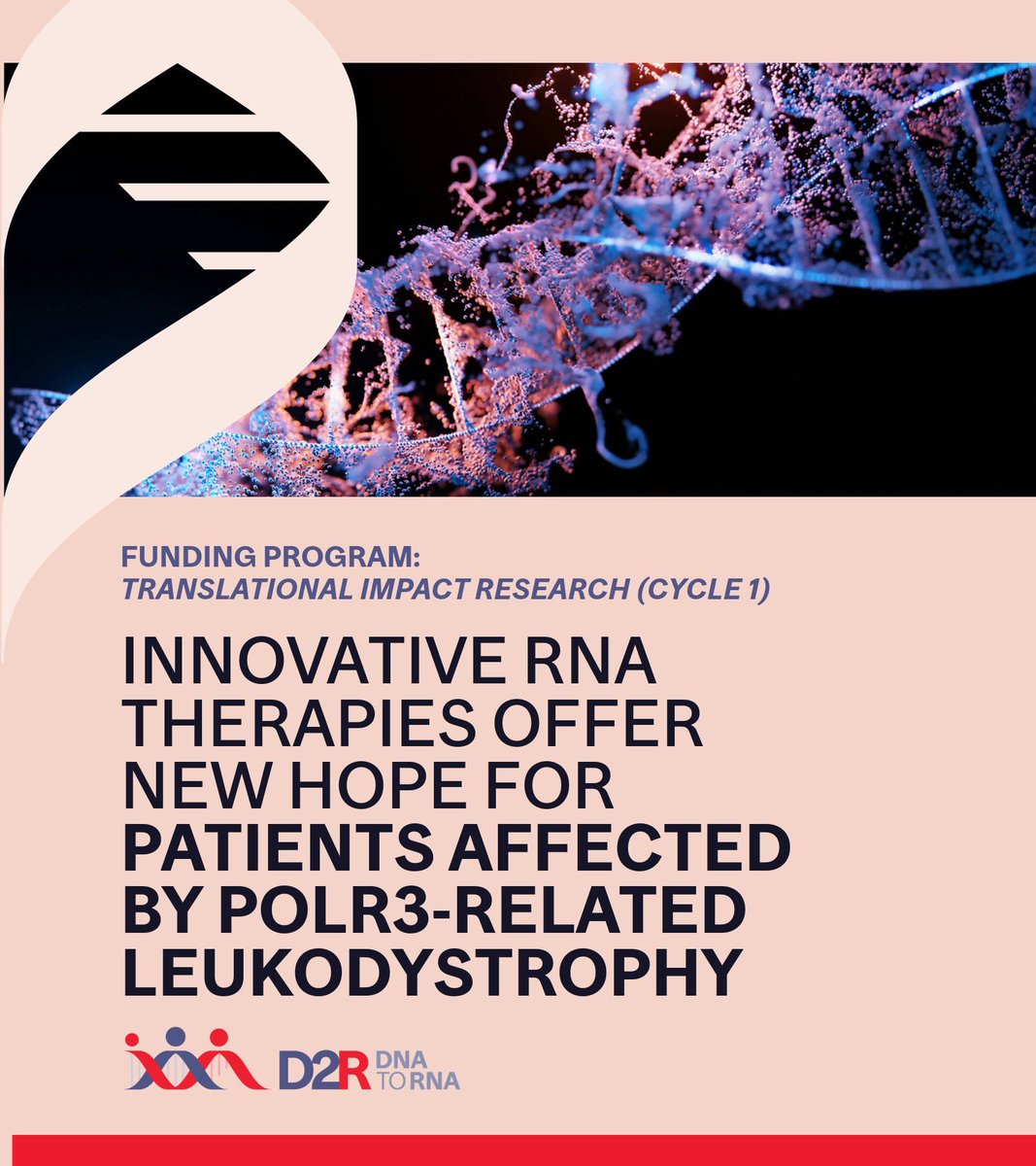D2R | DNA to RNA (@d2rmcgill) on Twitter photo 🔊#D2RProjectSpotlight: New hope for POLR3-related leukodystrophy patients
🧬Led by Geneviève Bernard <a href="/RIMUHC1/">Research Institute of the MUHC (The Institute)</a> this project develops RNA treatments for a rare, neurodegenerative disorder affecting children.
🔗Learn more: buff.ly/Xcsv5NP
#RareDisease #RNA
<a href="/McGill_VPRI/">McGill Research + Innovation</a> 🔊#D2RProjectSpotlight: New hope for POLR3-related leukodystrophy patients
🧬Led by Geneviève Bernard <a href="/RIMUHC1/">Research Institute of the MUHC (The Institute)</a> this project develops RNA treatments for a rare, neurodegenerative disorder affecting children.
🔗Learn more: buff.ly/Xcsv5NP
#RareDisease #RNA
<a href="/McGill_VPRI/">McGill Research + Innovation</a>