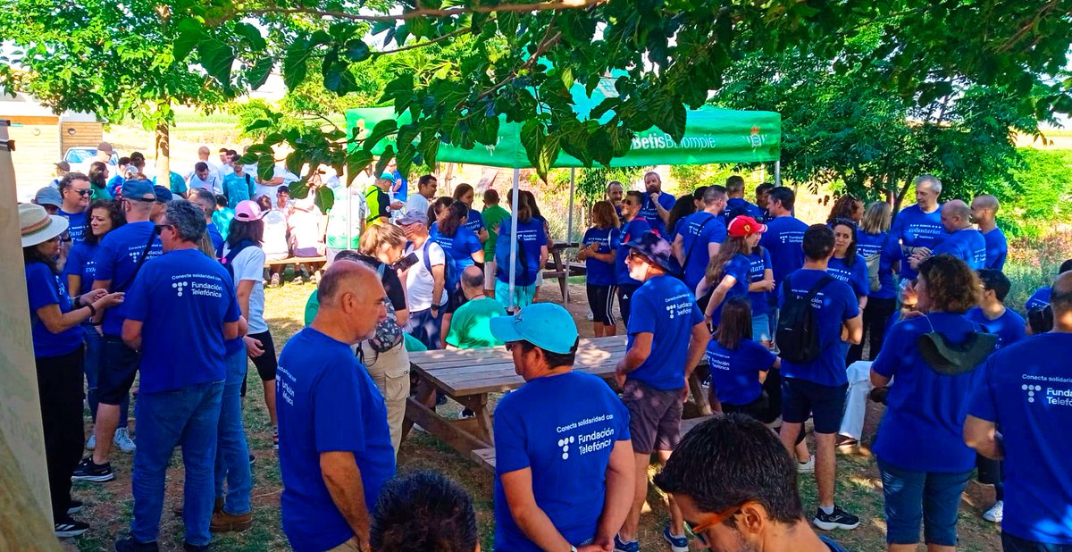 💙¡Gracias <a href="/fundacionTef/">Fundación Telefónica</a> por hacernos partícipes del #divt2025, una jornada en la que tuvimos la oportunidad de ser voluntarios/as de <a href="/Telefonica/">Telefónica</a>
para promover la acción social en nuestro entorno de la mano de <a href="/asocpazybien/">Paz y Bien</a> <a href="/RealBetis/">Real Betis Balompié 🌴💚</a> <a href="/mercasevilla/">Mercasevilla</a> <a href="/caja87basket/">Insolac Caja 87 Basket</a> y <a href="/bioalverde/">BioAlverde</a>!