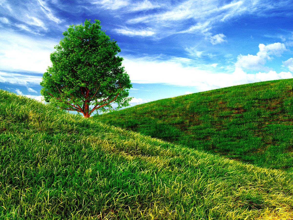 z2rMC's tweet image. alternate landscape
made in blender