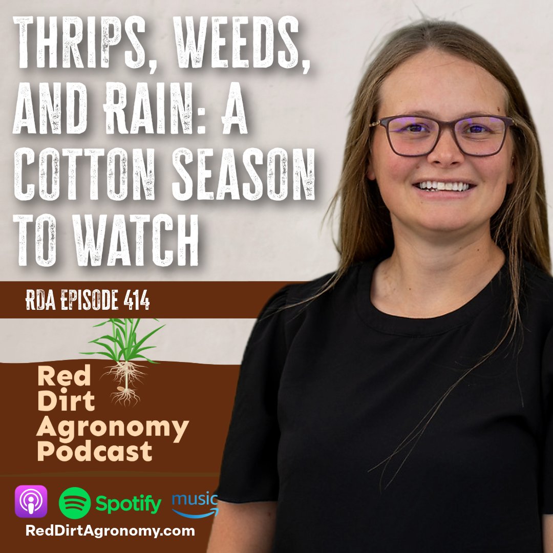 RedDirtAg's tweet image. Episode 414 is LIVE 👉 apple.co/3Hx3QiI
Wet #cotton fields, narrow planting windows, and early pest pressure have growers across Oklahoma asking the same question: Do we stick with cotton, or shift gears?

Dr. Jenny Dudak, walks us through what to expect.

#OklahomaAg