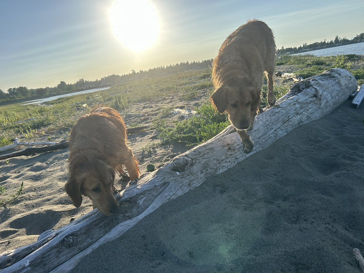 Good Morning ☀️ 🐶🐶 ☕️ 
On the boat at 1:00