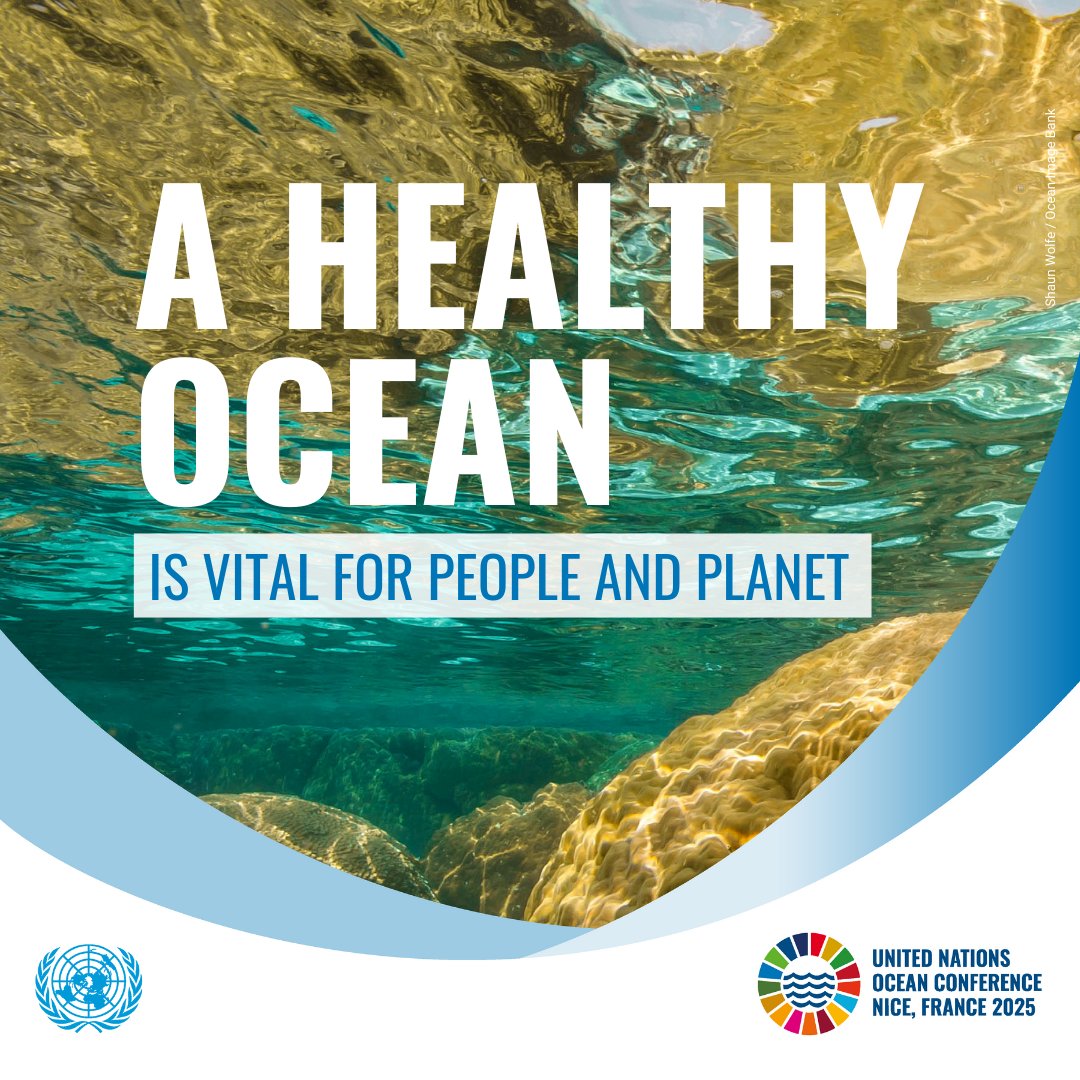 Global Environment Facility (GEF) (@thegef) on Twitter photo The ocean 🌊generates 50% of the oxygen we breathe🫁🫧, absorbs 25% of CO₂ emissions🚗, and regulates global climate🌡️.
The 2025 <a href="/UN/">United Nations</a> Ocean Conference will drive solutions to restore our ocean’s health. #SaveOurOcean The ocean 🌊generates 50% of the oxygen we breathe🫁🫧, absorbs 25% of CO₂ emissions🚗, and regulates global climate🌡️.
The 2025 <a href="/UN/">United Nations</a> Ocean Conference will drive solutions to restore our ocean’s health. #SaveOurOcean