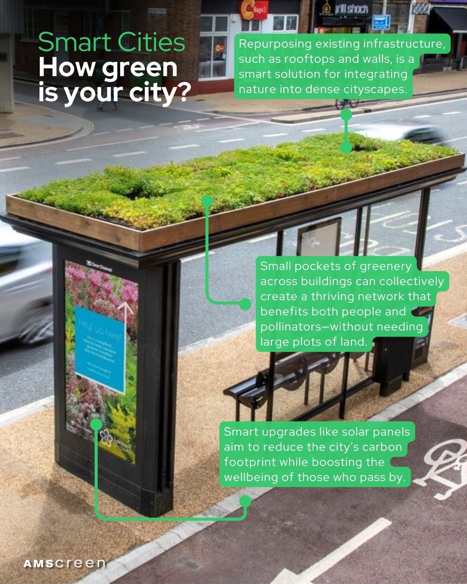 Amscreen's tweet image. We all know space is tight in cities—but that doesn’t mean we can’t make room for nature. Living roofs and walls are a smart way to bring greenery back into urban life, boosting biodiversity, cutting energy use, and making our streets that bit more liveable. It’s not about huge…