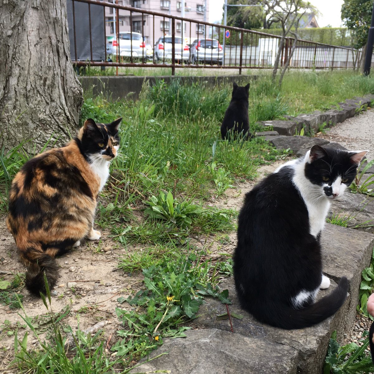 6月11日水曜日　通常営業　
#モンドボンゴ　#仙台