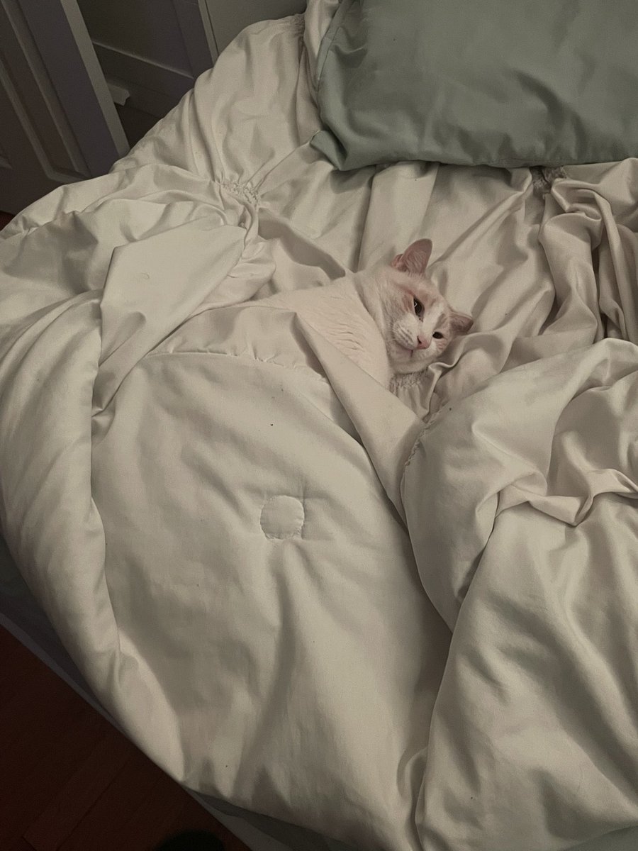 Me when it's time to lock in