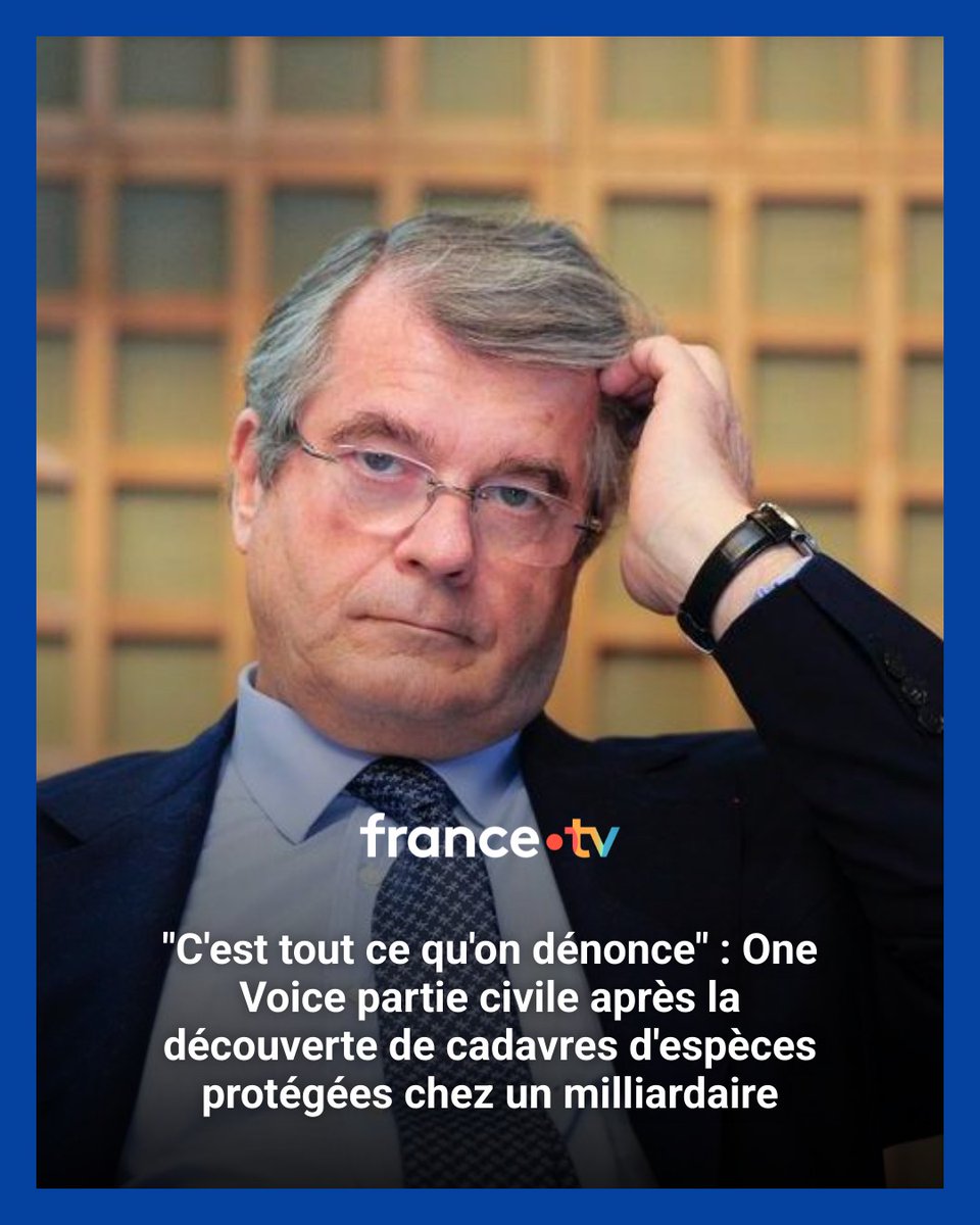 "C'est  tout ce qu'on dénonce" : One Voice partie civile après la découverte de  cadavres d'espèces protégées chez un milliardaire #OlivierBouygues