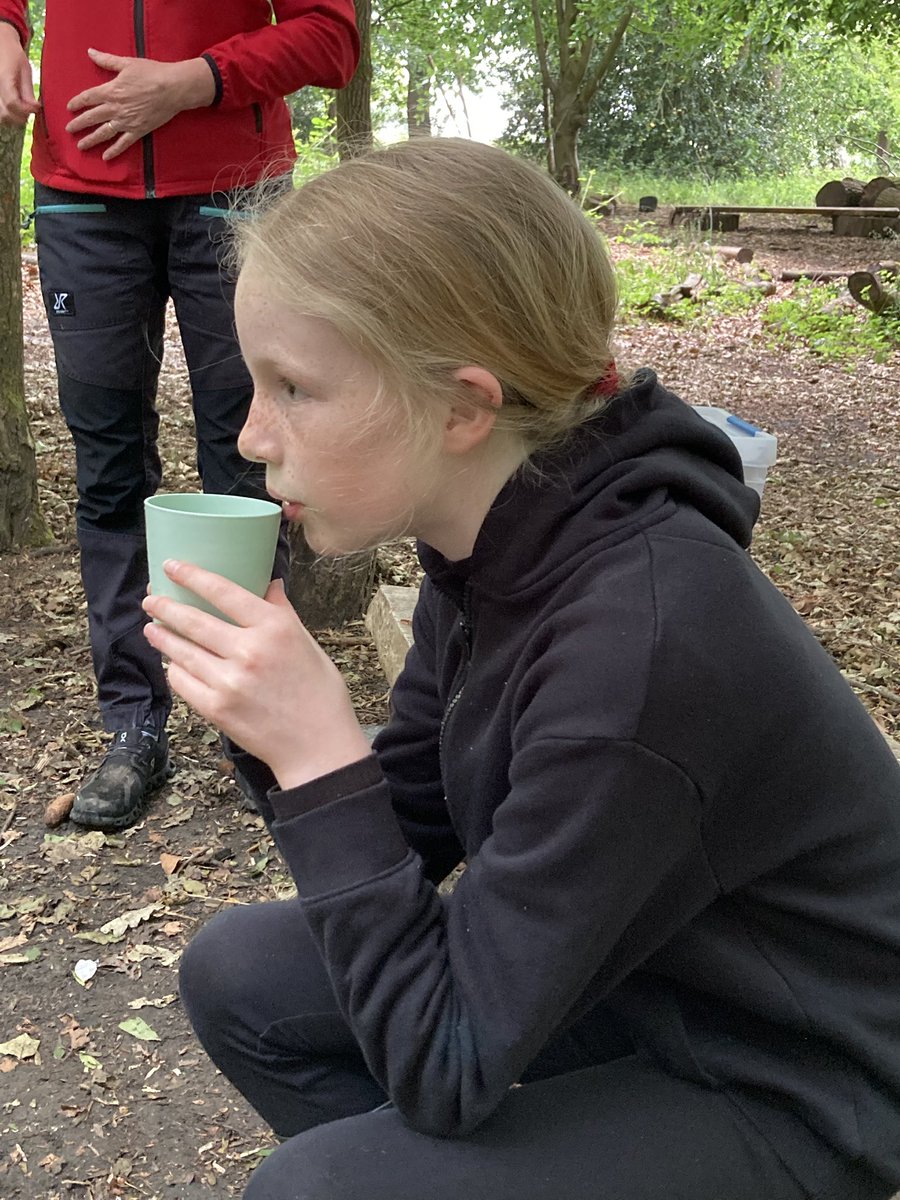PipersForestSch's tweet image. As part of Cultural Week, Year 6 made some bush tea using raspberry leaves, rose petals,mint and lemon balm all sourced from the school grounds 😋🫖🍵
#pipersprep