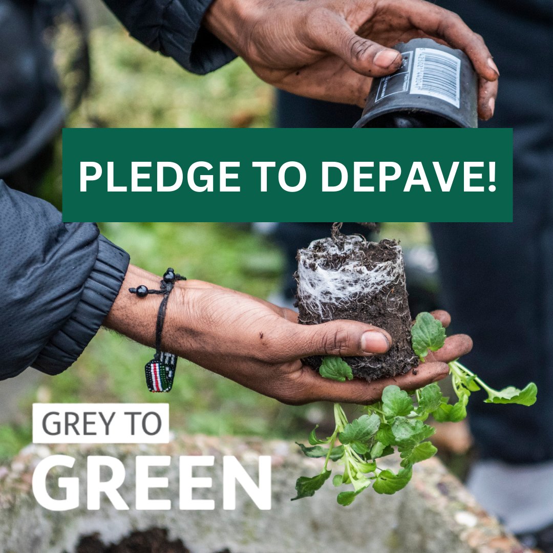 Greener Hackney tweet media