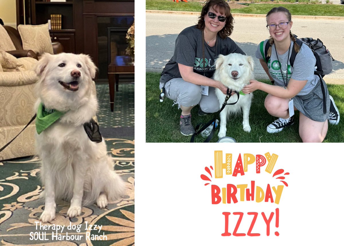 Happy Birthday to therapy dog Izzy 🐶🐾💚 She is owned &amp; loved by the Molbeck family &amp; is a registered Pet Partners team with both Vicki &amp; Cam! She goes on lots of visits snd is also a regular reading dog at Sunny Hill School ♥️ Enjoy your day beautiful girl!