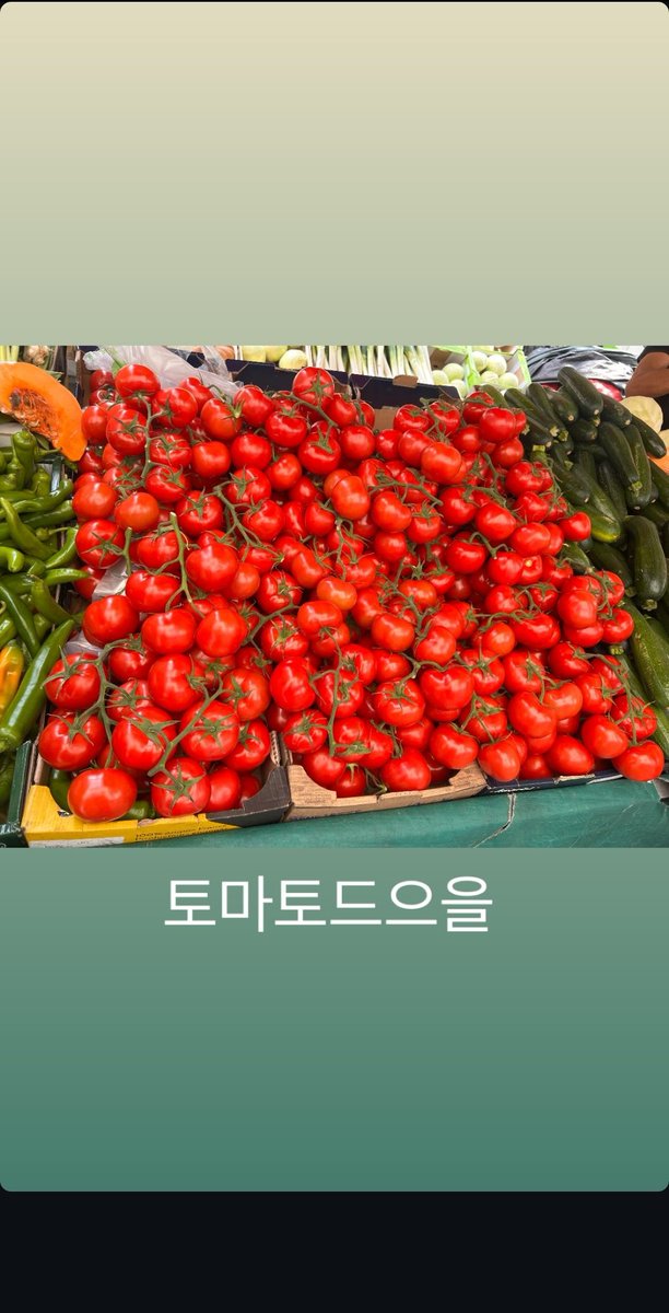 🍅🍅🍅🍅🍅🍅🍅
아따 싱싱해보인다잉
🍅🍅🍅🍅🍅🍅🍅