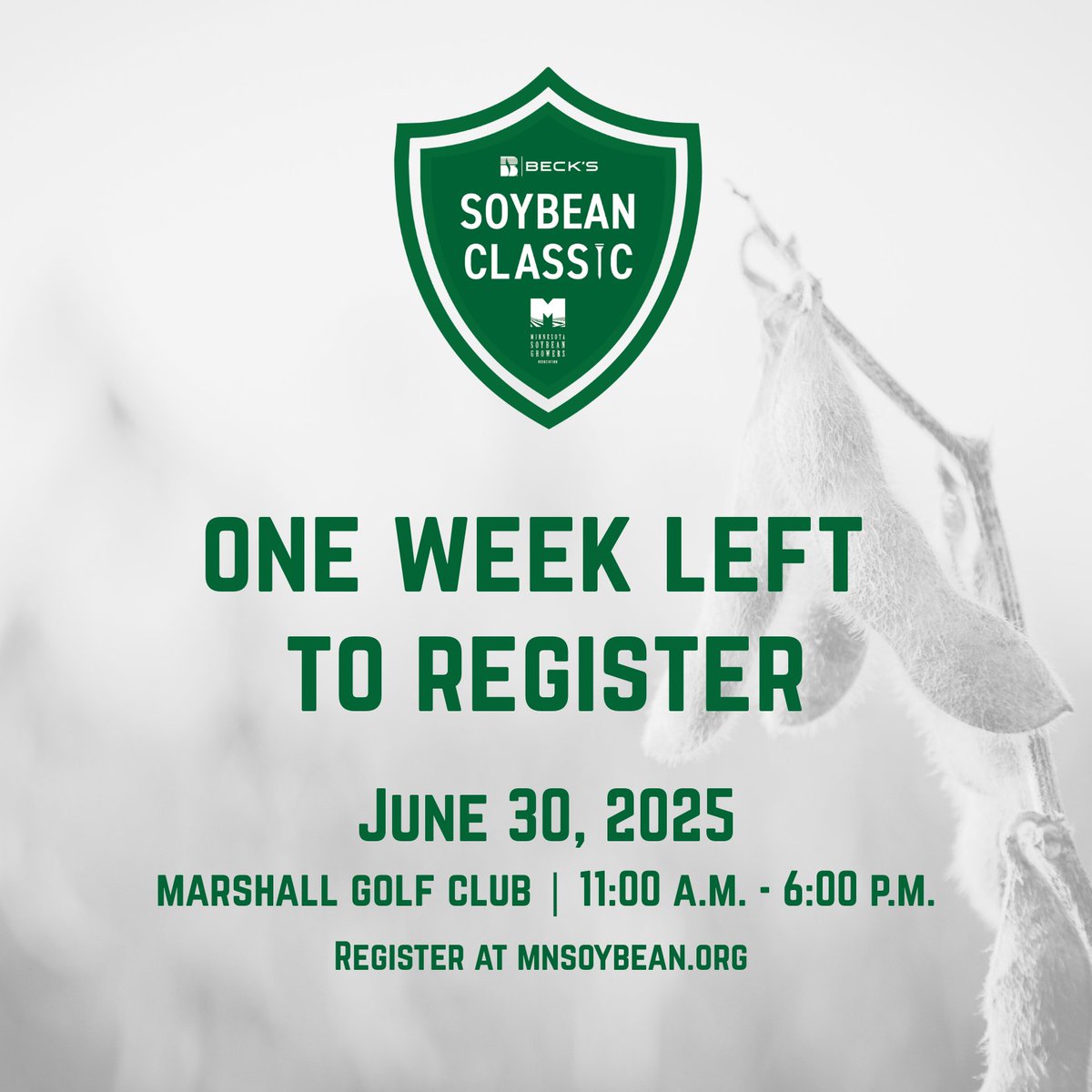 MNSoyGrowers's tweet image. Help keep MSGA on the advocacy leaderboard by registering for the second annual @BecksHybrids Soybean Classic, held June 30 at the Marshall Golf Club.
Register by June 16 - all golfers have a chance to win $10,000!
mnsoybean.org/msga/golf-even…