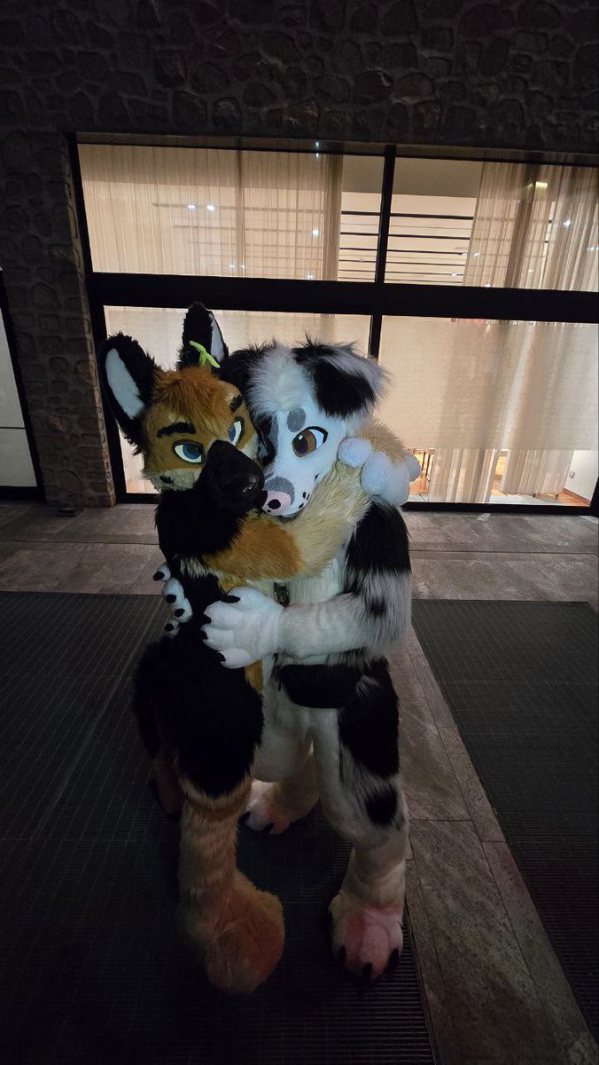 Himaru_Shepherd's tweet image. Found a cute dawg can i keep him? π₯°
#MFYMonday
π Bruce π₯°
πΈ@egnur