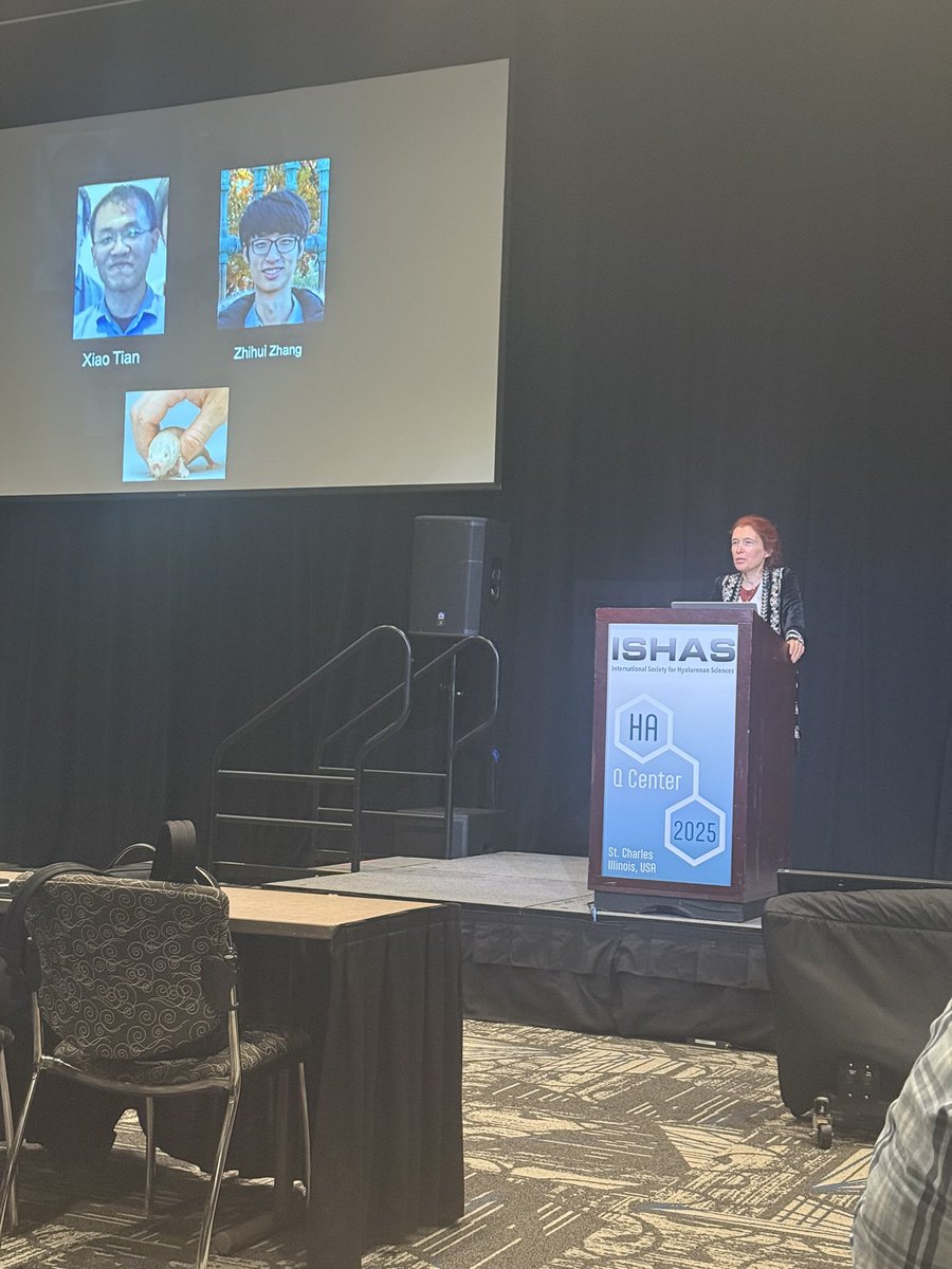 ISHAS_org's tweet image. ISHAS 2025 opening keynote lecture by Vera Gorbunova telling the fascinating story of the naked mole rat that are resistant to age related degeneration and cancer
