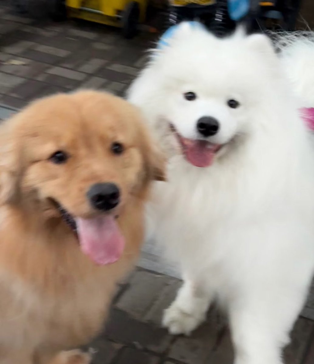 พิชอบตุวไหน หล่ะ