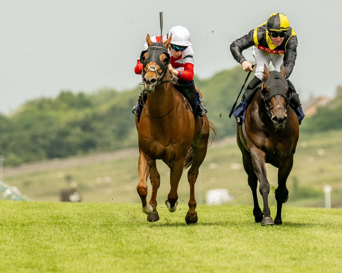 Brighton Racecourse (@brightonrace) on Twitter photo RACE 1 RESULT - The <a href="/StarSports_Bet/">Star Sports Bookmakers</a> Brighton Owners Series Handicap Stakes
🥇 Silky Robin
🥈 Pop Dancer
🥉 Merrimack
Jockey: Billy Loughnane
Trainer: Brian Toomey
Owner: La Bosh
📸 <a href="/dcoolimages/">Darren Cool Images</a> RACE 1 RESULT - The <a href="/StarSports_Bet/">Star Sports Bookmakers</a> Brighton Owners Series Handicap Stakes
🥇 Silky Robin
🥈 Pop Dancer
🥉 Merrimack
Jockey: Billy Loughnane
Trainer: Brian Toomey
Owner: La Bosh
📸 <a href="/dcoolimages/">Darren Cool Images</a>