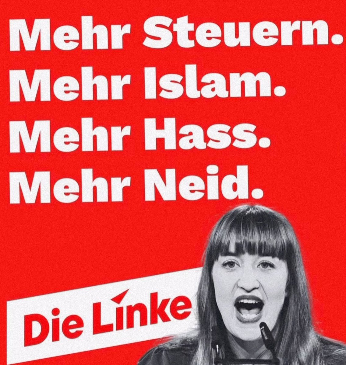 DIE LIBERTÄREN (@die_libertaeren) on Twitter photo 