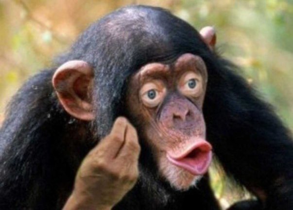 Бизнес-класс