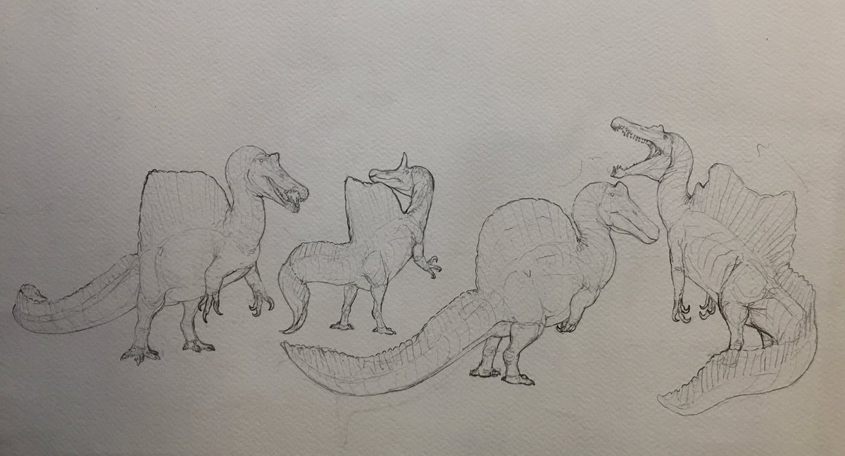 The 4 spinos from jwr but accurate version, i will do a movie accurate after this one finished coloring