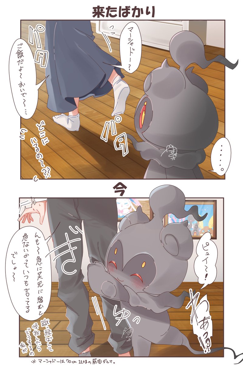 ⇧家に来たばかり
⇩今

マーシャドーは人慣れするのにちょっと時間かかりそうなイメージ
慣れたらニッコニコで駆け寄ってくる可愛い生き物になります。絶対🫵💥 