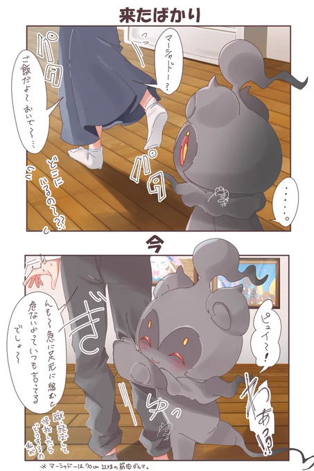 ⇧家に来たばかり
⇩今

マーシャドーは人慣れするのにちょっと時間かかりそうなイメージ
慣れたらニッコニコで駆け寄ってくる可愛い生き物になります。絶対🫵💥 