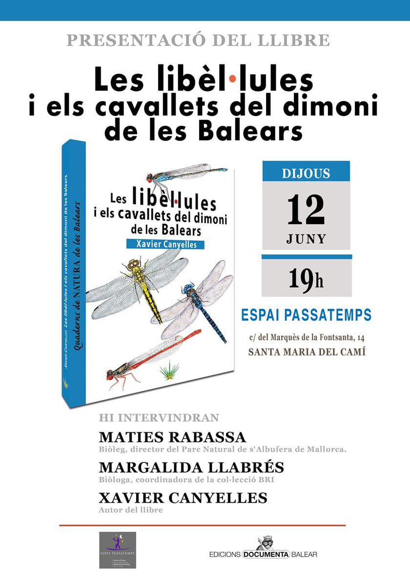 Documenta Balear (@documentabalear) on Twitter photo 