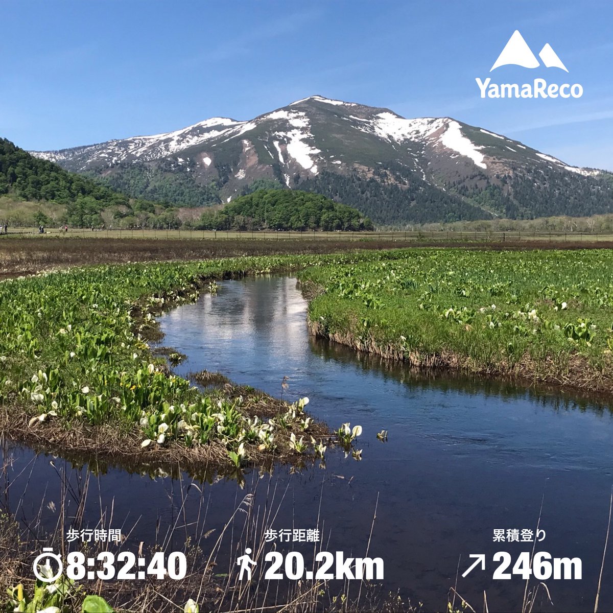 tsune1783's tweet photo. 鳩待峠から尾瀬ヶ原を周回 - 2025年06月07日 [登山・山行記録] - ヤマレコ https://t.co/A5kYBZYT3q https://t.co/jskKVCXYlL