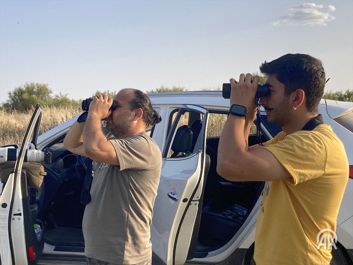 HANCAĞIZ BARAJ GÖLÜMÜZE SÜRPRİZ ZİYARET… 

Genelde Kuzey Amerika, Rusya ve Avrupa’da görülen Telkuyruk kuş türü
kuş gözlemcileri tarafından Nizip / Karkamış Hancağız barajımızda bayram tatilinde yüzerken görüntülendi.

Nizip çayımızın ve Hancağız Barajımızın temizlenmesi ve