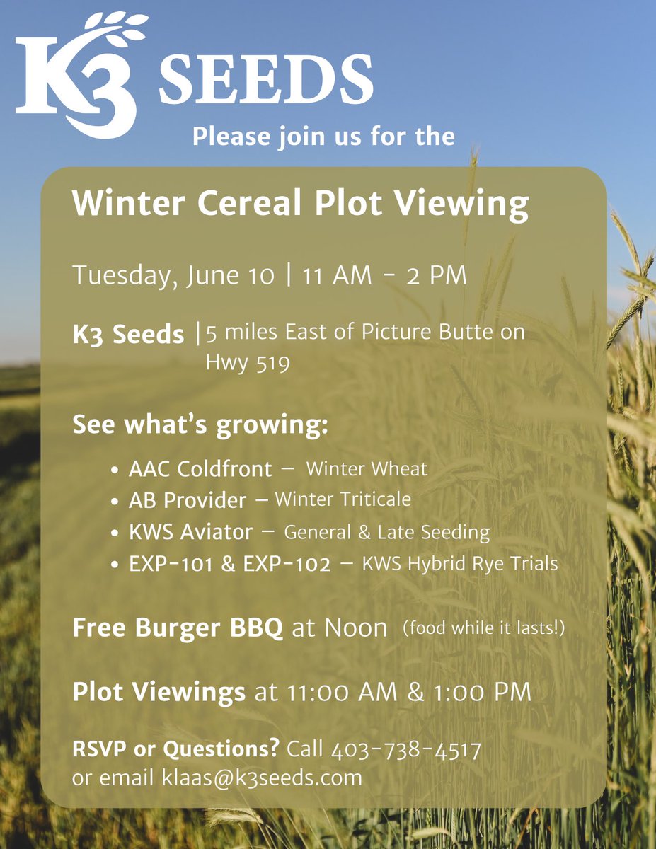 K3 Seeds tweet media