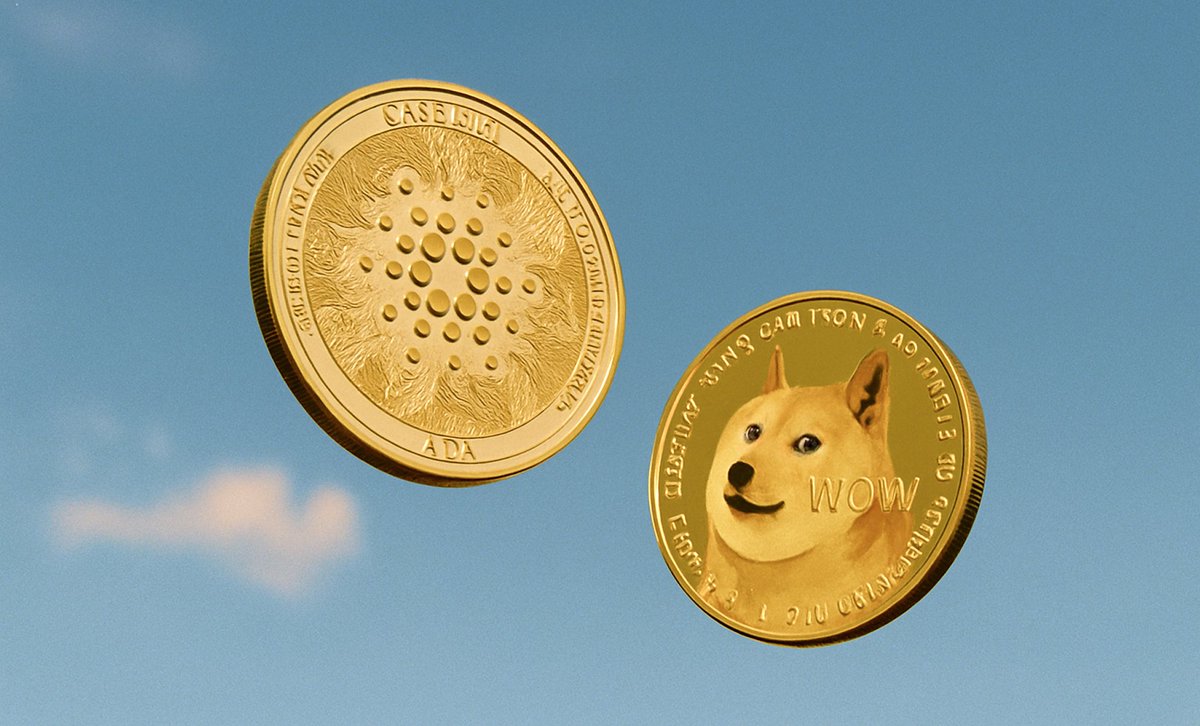 ADA &amp; DOGE deposits now live on Neverless ✅