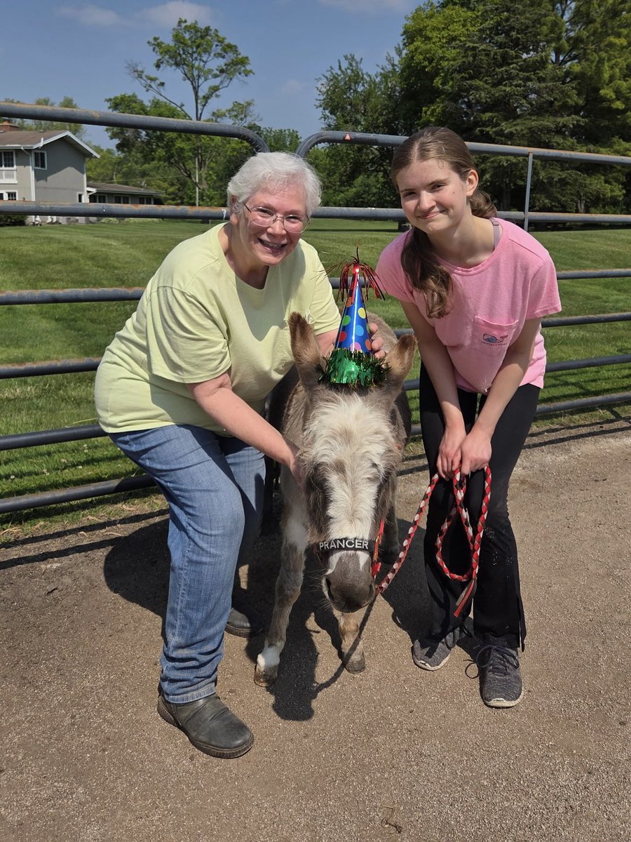 Happy 9th Birthday to our mini donkey Prancer! 🫏 He is an adorable spotted donkey from Sunny G Acres. He and his brother Bugsy are usually the life of the party but the herd and our volunteers decided to get in on the birthday party celebration too!