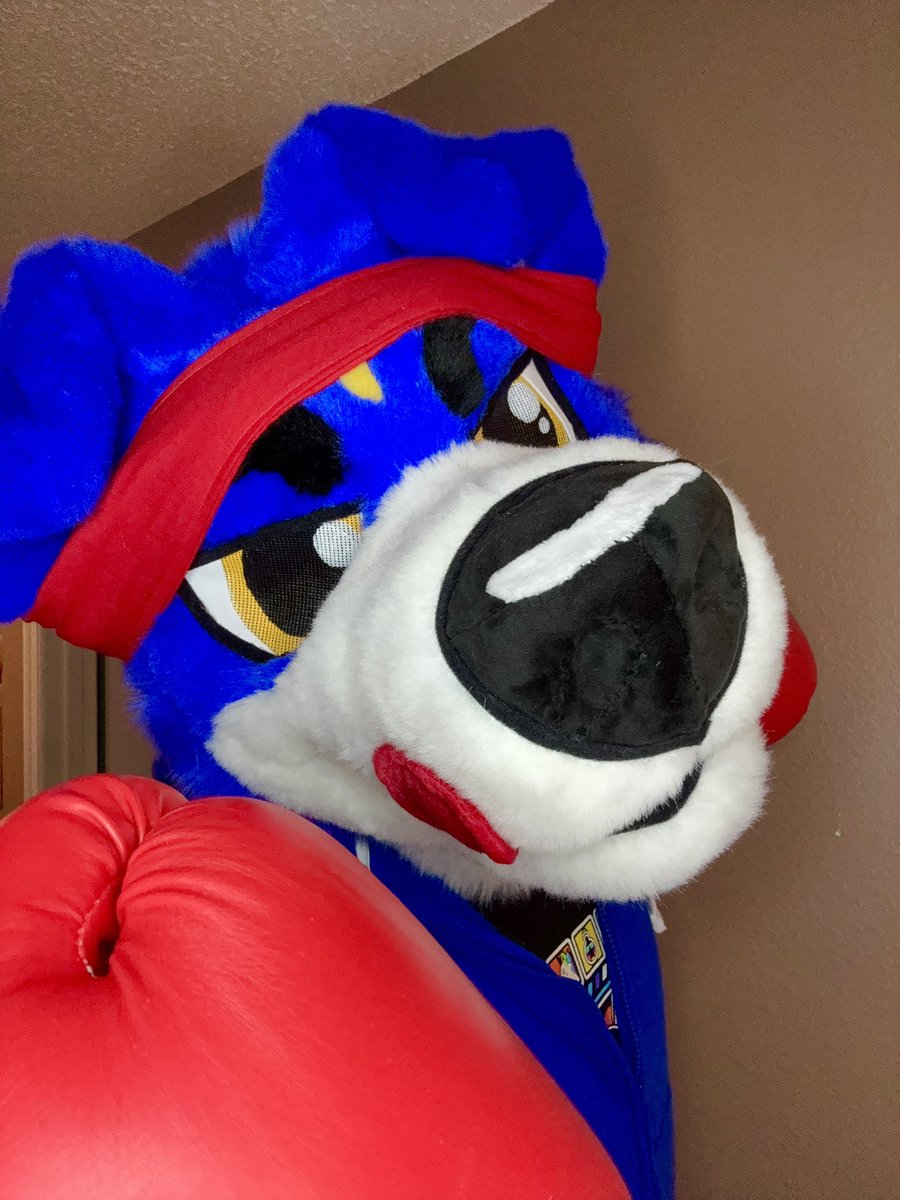 This guy is still up for grabs! Help me find him a forever home! 🥰🥰🥰

thedealersden.com/listing/digimo…