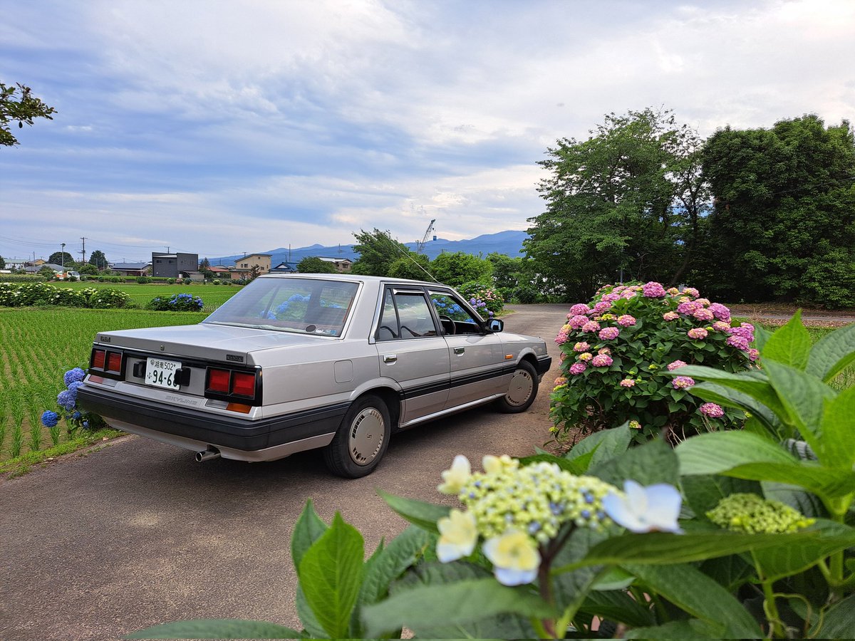 どれも日常の足車
どうして(゜Д゜≡゜Д゜)?こうなった(笑)
#趣味車と足車