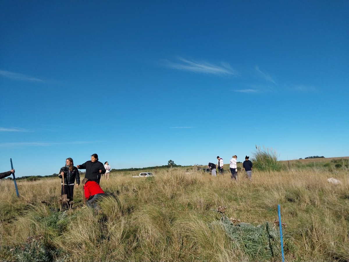 CEI Barrow (MDA - INTA) tweet media