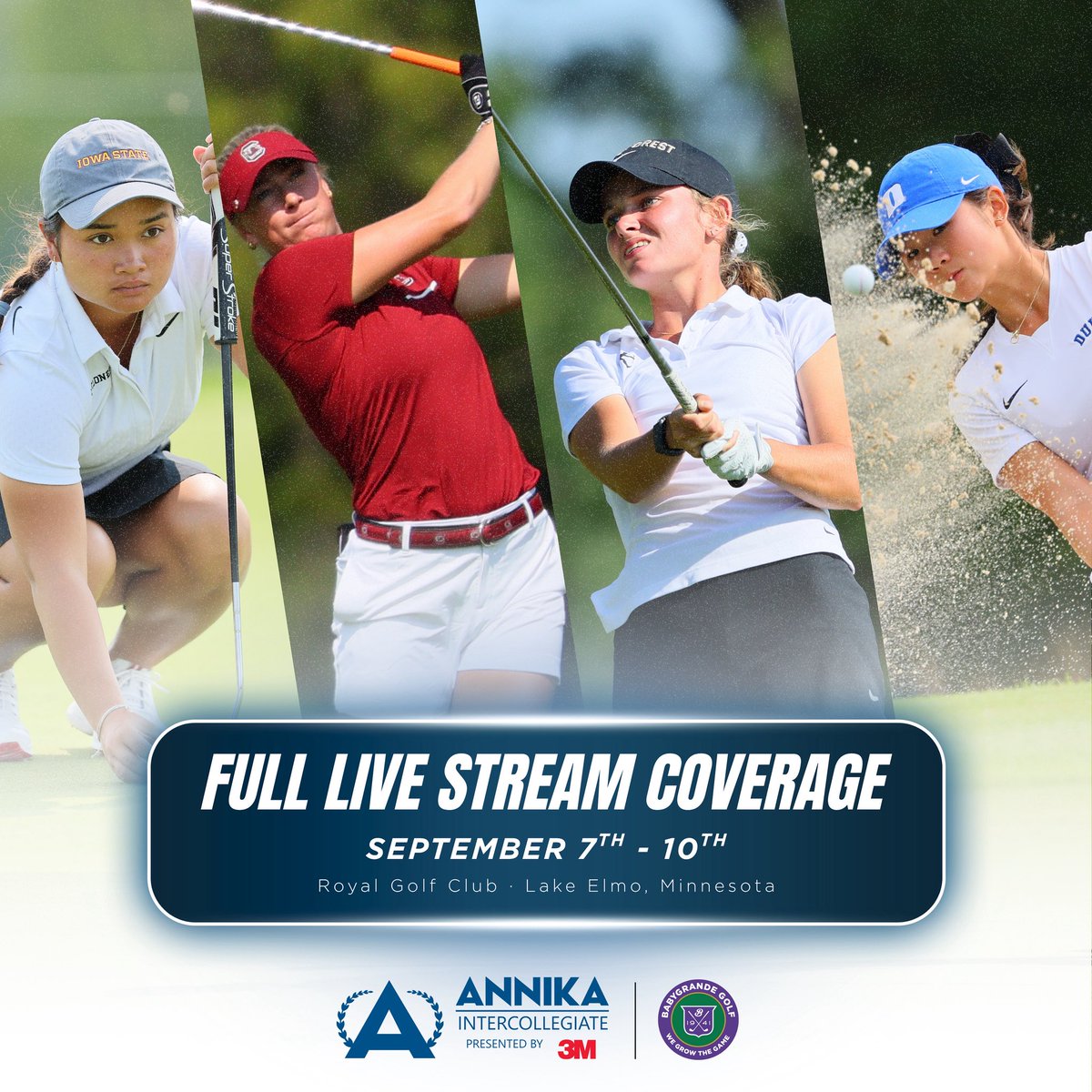 ANNIKA Foundation tweet media