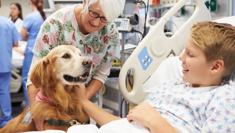 Emergency room visits can be an overwhelming experience, causing stress and anxiety in children and their parents. A new study published by Wayne State has discovered that patient interaction with therapy dogs can significantly lower stress levels.
go.wayne.edu/therapy-dogs-tw
