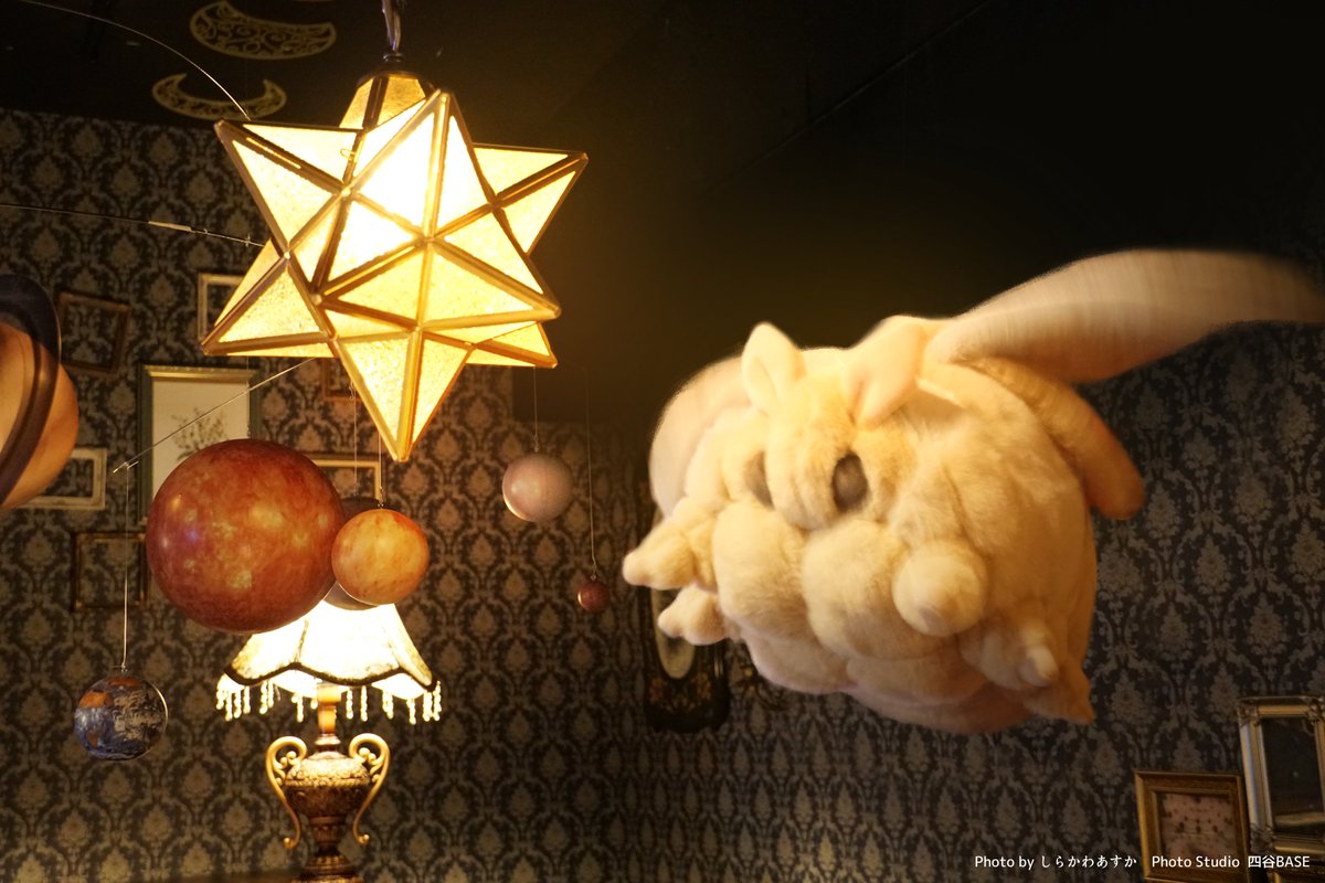 A big, fluffy moth attracted to a magic stone