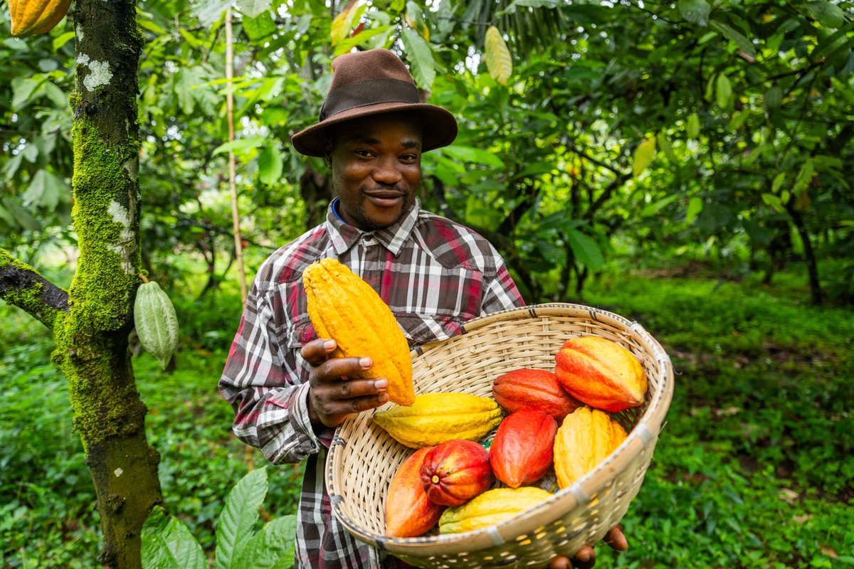 What makes #blendedfinance a game-changer for #farmers battling #climatechange? Find out at our webinar on 𝟏𝟏𝐭𝐡 𝐉𝐮𝐧𝐞 𝟐𝟎𝟐𝟓 ! Secure your spot 👉 tinyurl.com/3apnjewr

ClimateResilience #SustainableAgriculture #ClimateSmartAgriculture #InclusiveFinance