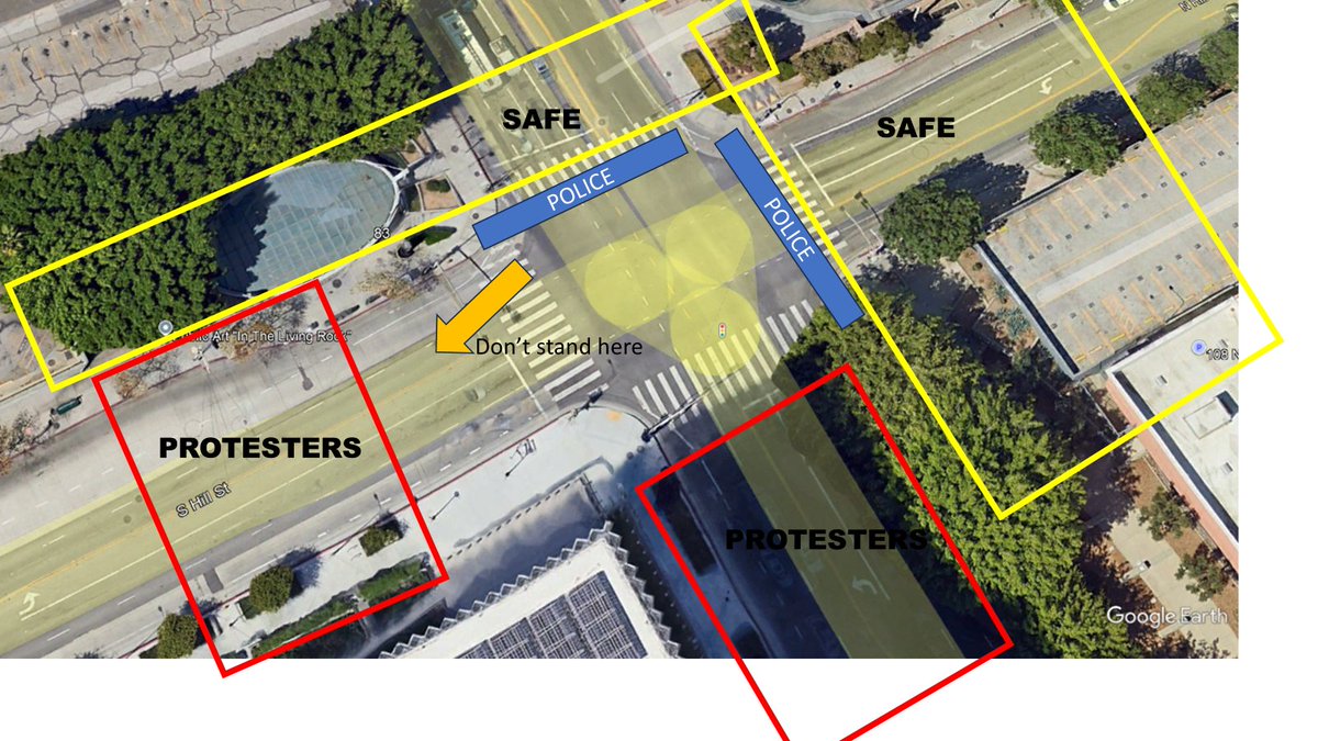 david D. tweet media