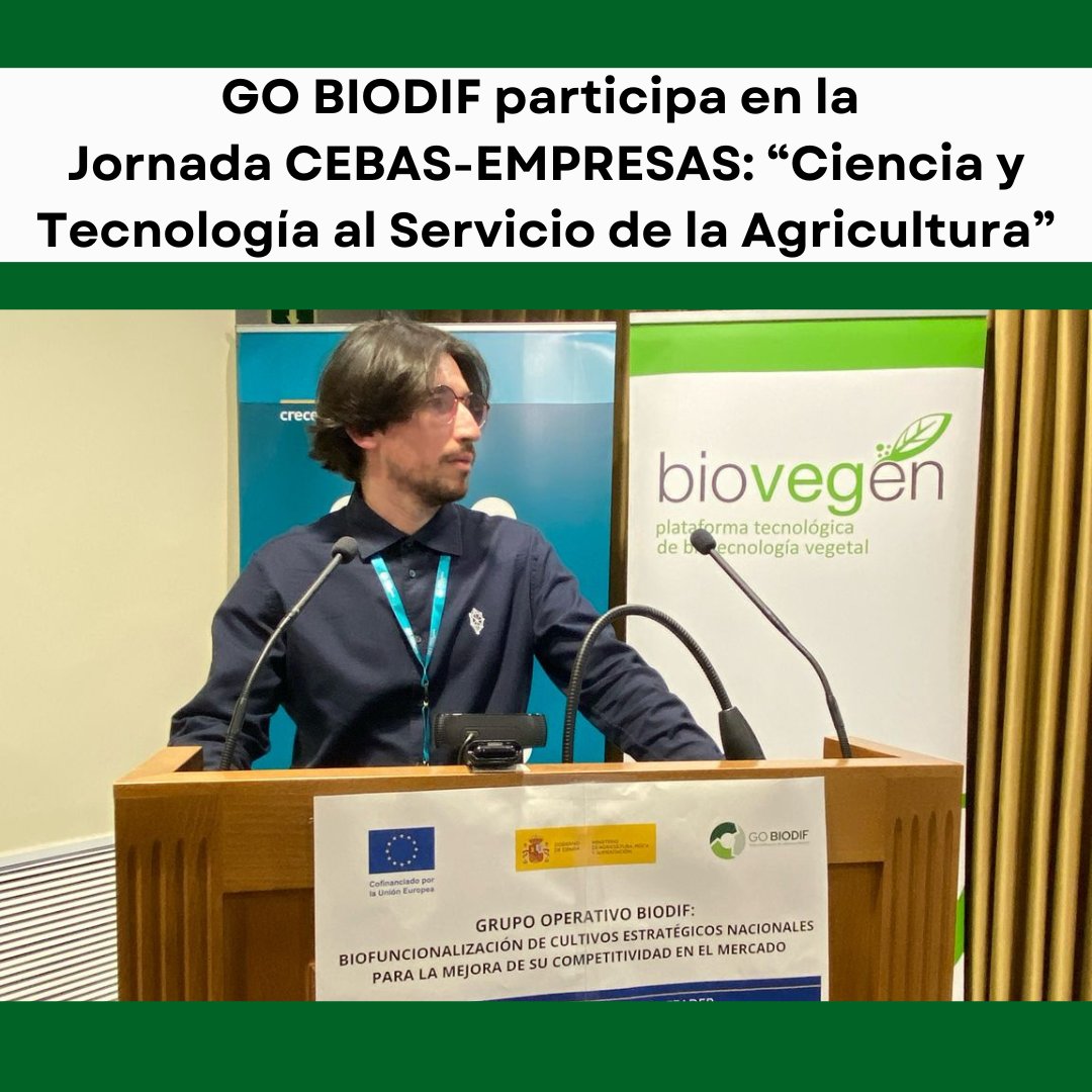 gobiodif's tweet image. 🌱🔬 GO BIODIF presente en la Jornada CEBAS-EMPRESAS
👉🏻 El Grupo Beyond Seeds presentó los avances y objetivos del Grupo Operativo #BIODIF 🫒🌽🍅 en la jornada CEBAS-EMPRESAS, organizada por @CEBAS_CSIC, @biovegen y @Cajamar, con más de 150 asistentes del sector biotech💡