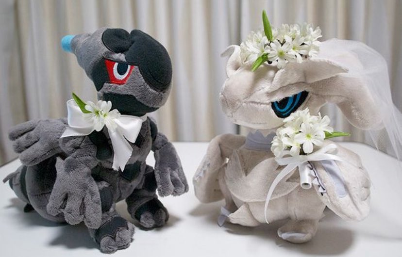 they are getting married