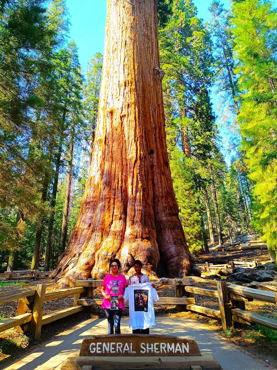 RosySune's tweet photo. #activistbooks ‘Frida K., the poet and Macbeth the dream trafficker’ at sequoia national park #EpsteinFiles #EpsteinList #NoKings #dictatorpresident #womenactivistwriters #sequoiaPark #california #sequoianationalpark #book #thriller @caligramaeditor #books https://t.co/z5QoAf8TPt