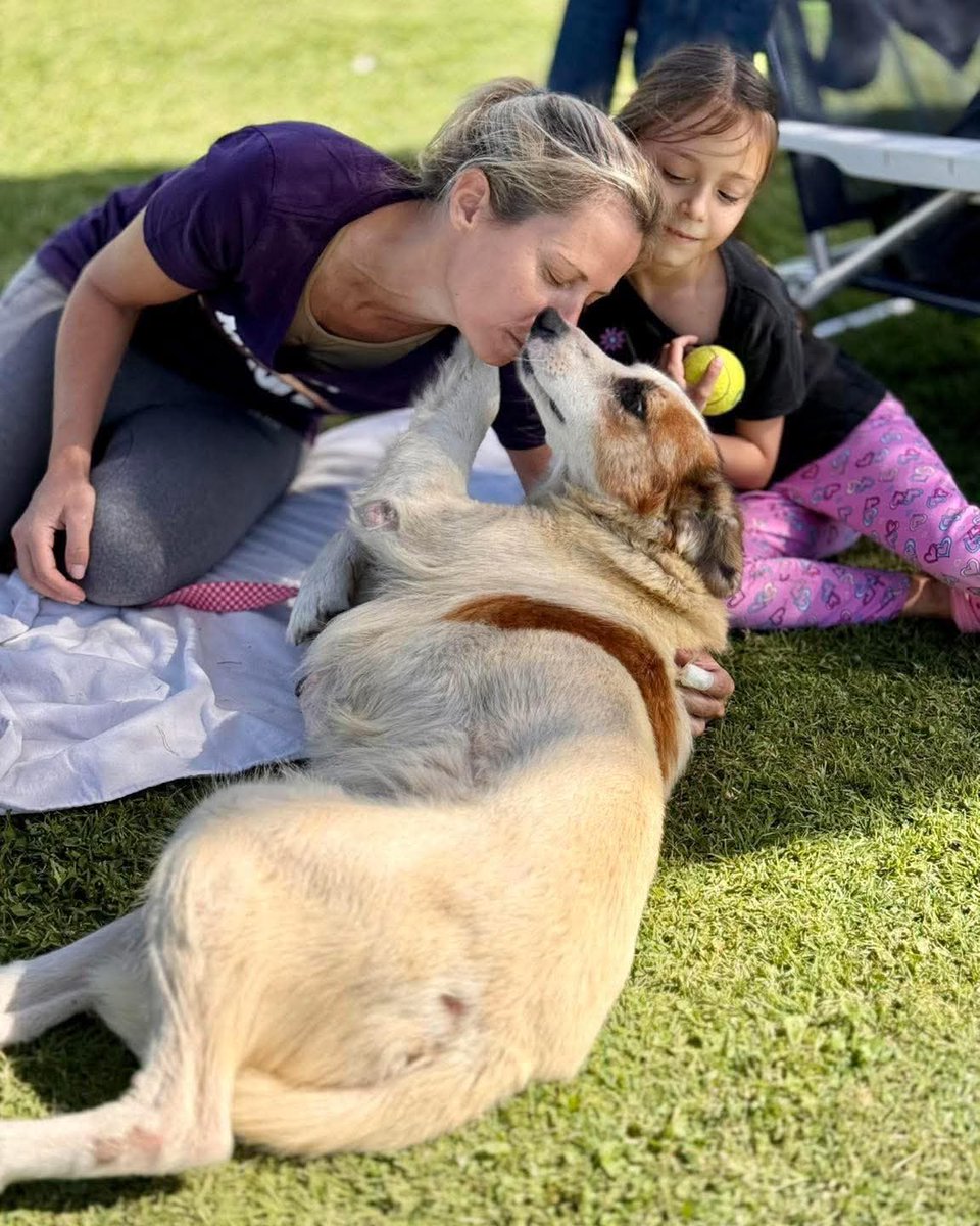 😍 Doña Ana busca una familia con quien pasar así los días 😍 Puro abrazos, puro mimo, puro amor. Es una perrita dulce y tranquila, suavecita.

Enamorate y dale una oportunidad. 🥹 Escribinos a adoptantesdelcampito@gmail.com para hablar con el equipo de adopciones 💛