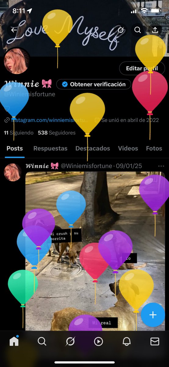 𝓦𝓲𝓷𝓷𝓲𝓮 🎀 tweet media