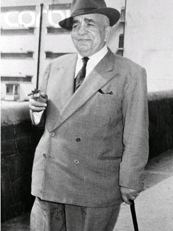 Chen Mesika חן מסיקה tweet media