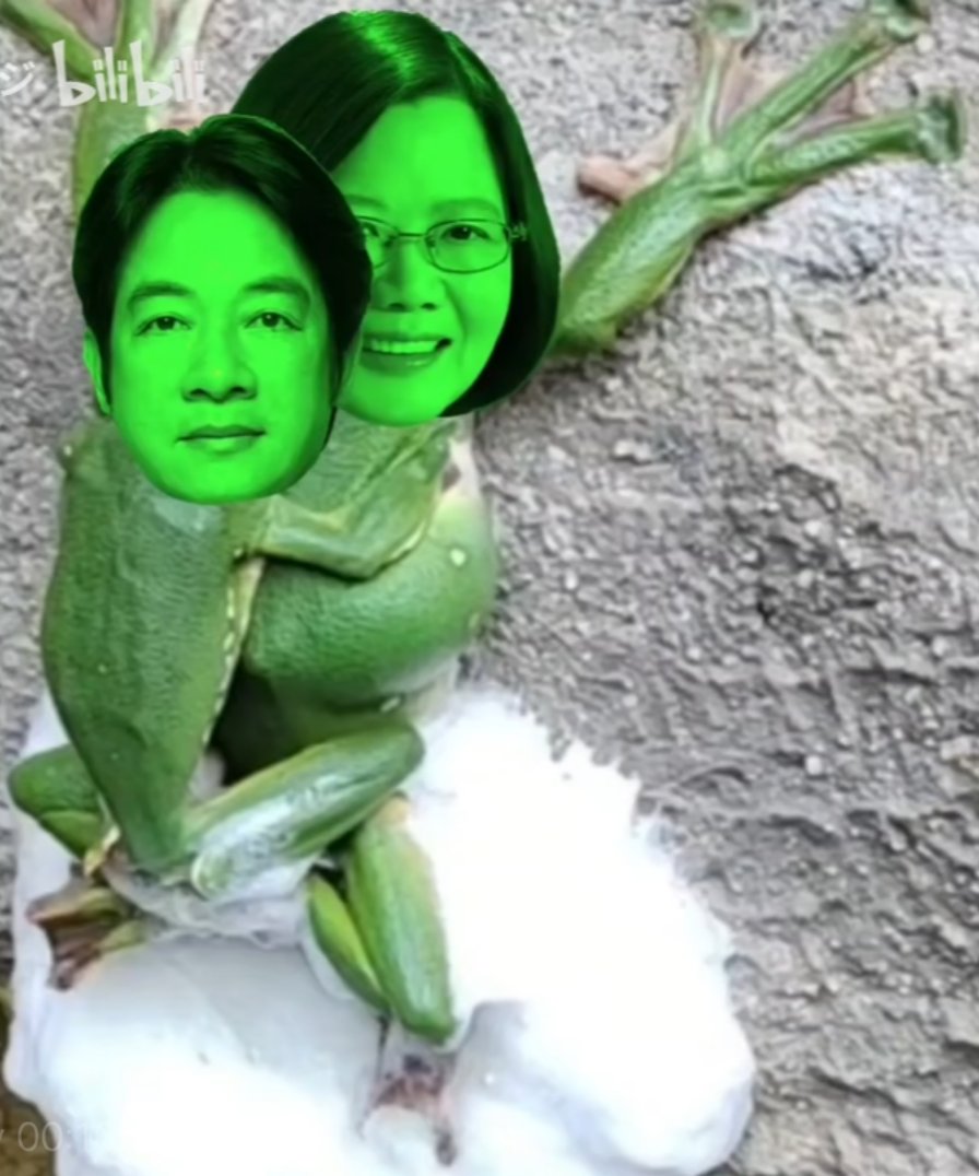 一群死台湾人，我现在对台湾的印象越来越不好了，
这些台湾人都不是人，该去死