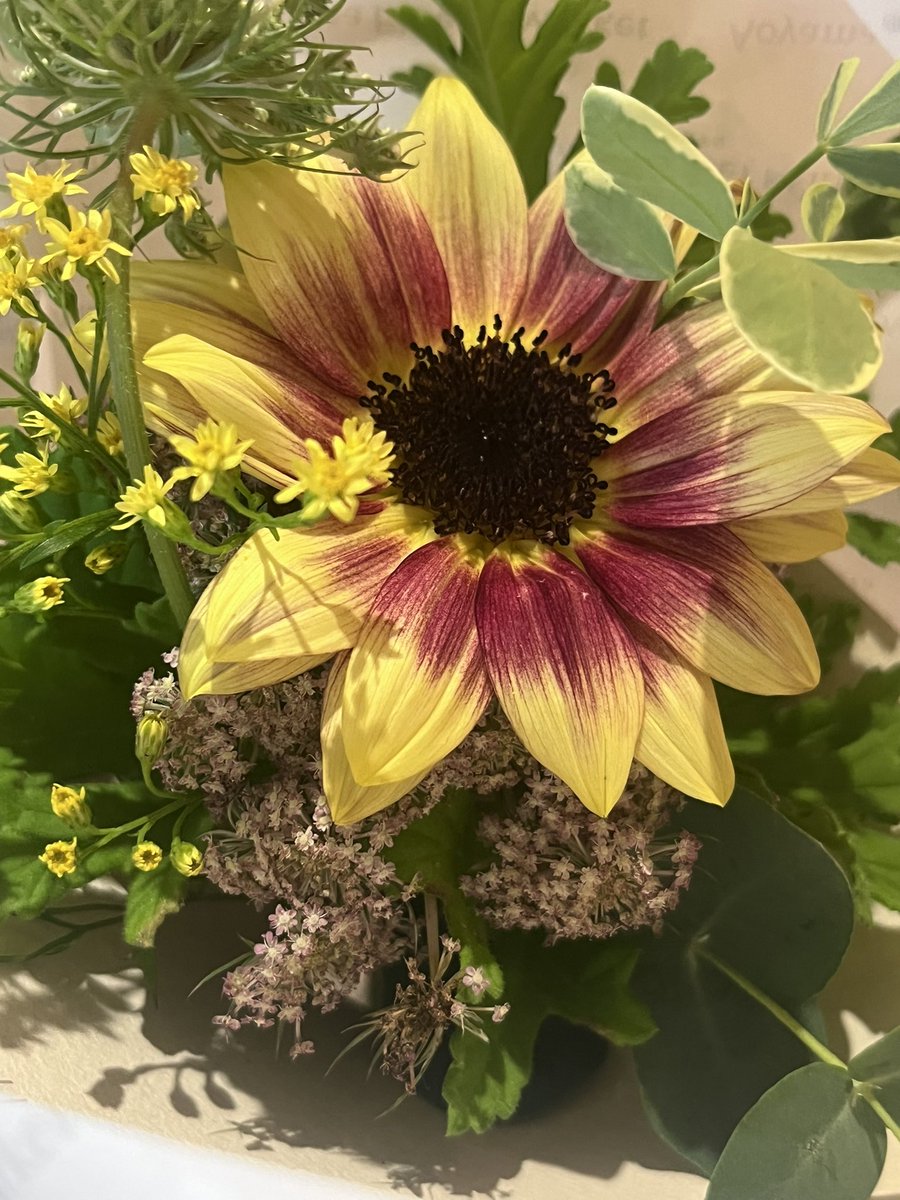 kiii55555's tweet photo. 彼氏の誕生日にお花あげたら、サプライズで私にもお花をくれた。日頃の感謝、だって。泣いちゃったよ｡ﾟ(ﾟ´Д｀ﾟ)ﾟ｡ 
しかも調べたら花言葉が「君だけを見つめている」だって、、、泣いちゃったよ、、、 https://t.co/hce9lsB5vU