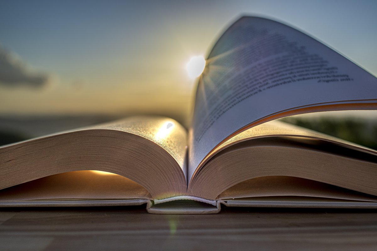 Learn how Maverick's landscape analysis and #metadata review and guidance helped a university press establish a framework to reinforce the performance of its future book titles.
Read the “Book Indexing and discoverability strategy” case study: bit.ly/4mTDLKH