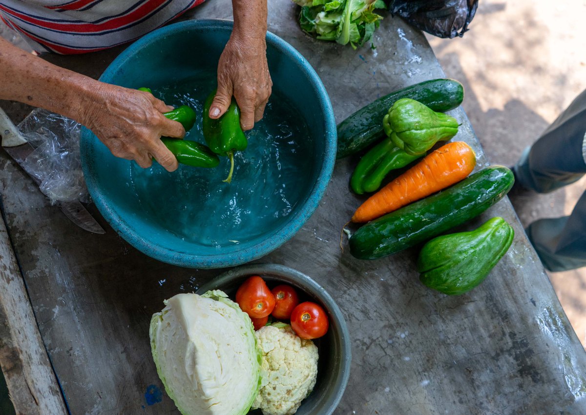 WFP_SV's tweet image. ¡La inocuidad es clave para una nutrición digna y sostenible!

WFP 🇸🇻 capacita a productores, comunidades y pequeños emprendedores en buenas prácticas de higiene, almacenamiento y preparación de alimentos 🥗