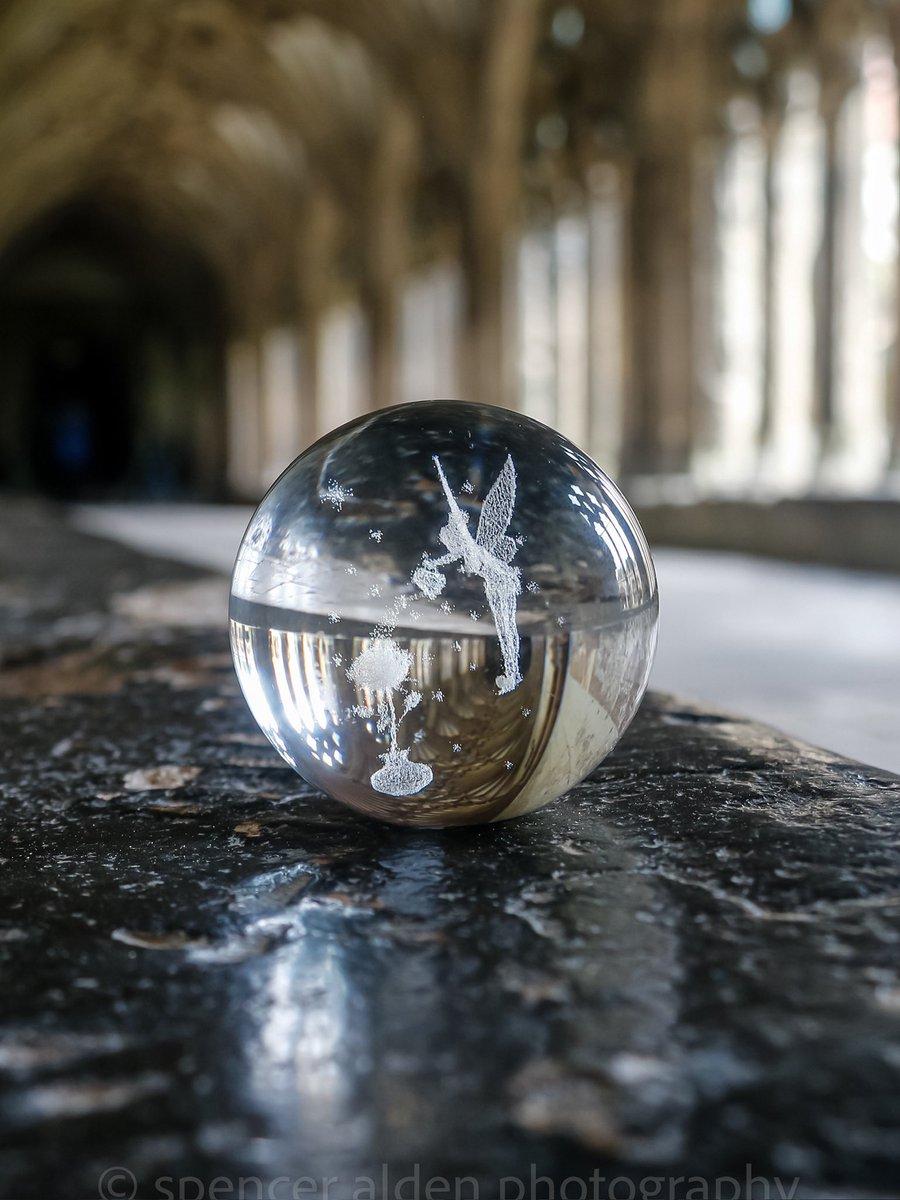 Tinker bell , cloisters . Canterbury cathedral